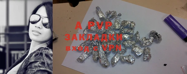 хмурый Магас