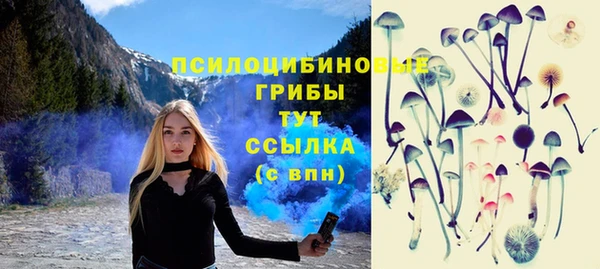 трава Алзамай