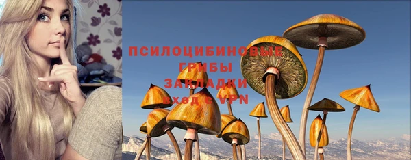 трава Алзамай