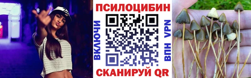 kraken ссылки цена наркотик Среднеколымск Галлюциногенные грибы ЛСД